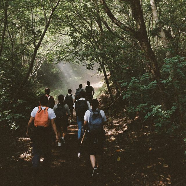 숲길을 오르는 학생들의 뒷모습.
